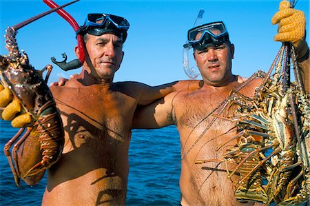Lobster catch, Cayos, Cuba, Caribbean Sea, West Indies, Central America Stock Photo - Rights-Managed, Code: 841-02715323