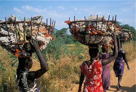 Nuer women carrying sorghum, Gambella region, Ilubador state, Ethiopia, Africa Foto de stock - Con derechos protegidos, Código: 841-02715474