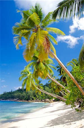 simsearch:841-02715367,k - Beach, Seychelles Foto de stock - Con derechos protegidos, Código: 841-02715584