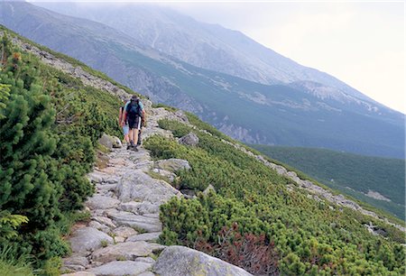 Hikers walking along Tatranska magistrala trail in Vysoke Tatry mountains, Vysoke Tatry, Slovakia, Europe Stock Photo - Rights-Managed, Code: 841-02717000