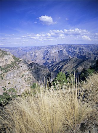 Copper Canyon, Sierra Tarahumara, Sierra Madre, Chihuahua, Mexico, Central America Stock Photo - Rights-Managed, Code: 841-02717094