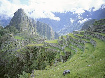 simsearch:841-02915813,k - INCA terrasses et ruines, Machu Picchu, patrimoine mondial de l'UNESCO, au Pérou, en Amérique du Sud Photographie de stock - Rights-Managed, Code: 841-02717097