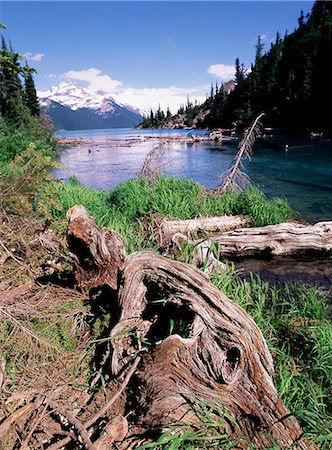 parc provincial garibaldi - Garibaldi Provincial Park, Colombie-Britannique (), Canada, Amérique du Nord Photographie de stock - Rights-Managed, Code: 841-02717173