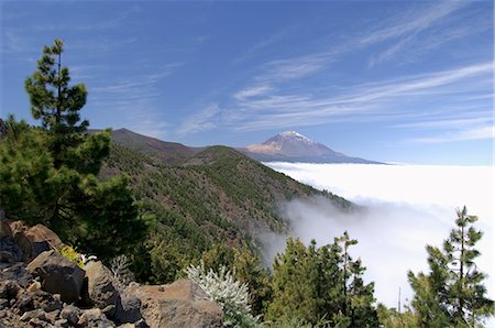 simsearch:841-03033642,k - Mount Teide (Pico de Teide), Tenerife, Canary Islands, Spain Foto de stock - Con derechos protegidos, Código: 841-02717215