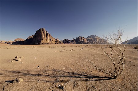 environmental wastelands - Desert, Wadi Rum, Jordan, Middle East Stock Photo - Rights-Managed, Code: 841-02717236