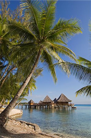 Kia Ora Resort, Rangiroa, Tuamotu Archipelago, French Polynesia, Pacific Islands, Pacific Stock Photo - Rights-Managed, Code: 841-02717327