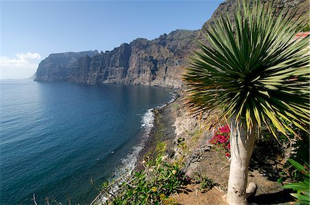 simsearch:841-02715002,k - Los Gigantes cliffs, Tenerife, Canary Islands, Spain Foto de stock - Con derechos protegidos, Código: 841-02717557