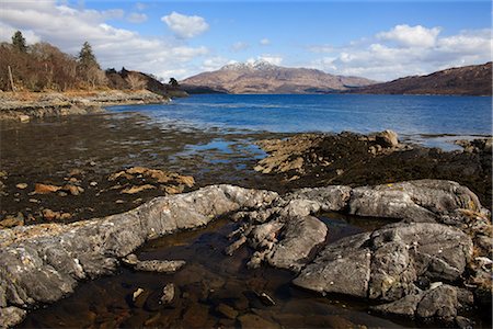 Loch Sunart, looking east, Argyll, Écosse, Royaume-Uni, Europe Photographie de stock - Rights-Managed, Code: 841-02717738