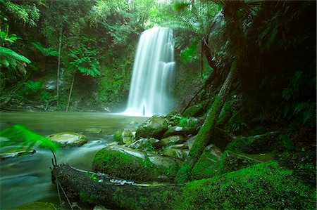 Chute de Beauchamp, chute d'eau dans la forêt tropicale, Otway N.P., Great Ocean Road, Victoria, Australie Photographie de stock - Rights-Managed, Code: 841-02718071