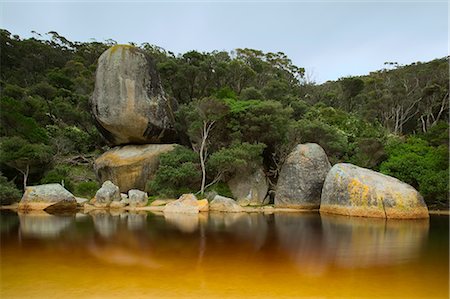 River, Tidal River, Wilsons Promontory, Victoria, Australia Foto de stock - Con derechos protegidos, Código: 841-02718137
