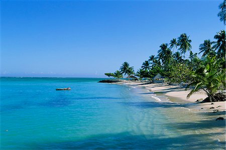 pigeon point - Pigeon Point, island of Tobago, West Indies, Caribbean, Central America Foto de stock - Con derechos protegidos, Código: 841-02718375