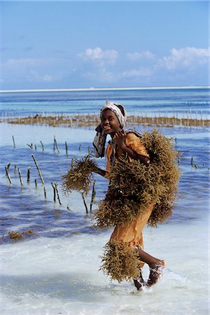 simsearch:841-02946139,k - Young woman carrying seaweed from the ocean on her back, Zanzibar, Tanzania, East Africa, Africa Stock Photo - Rights-Managed, Code: 841-02718479