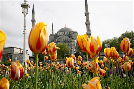 simsearch:841-05781570,k - The Blue Mosque (Sultan Ahmet Camii), Istanbul, Turkey, Europe Stock Photo - Rights-Managed, Code: 841-02718472