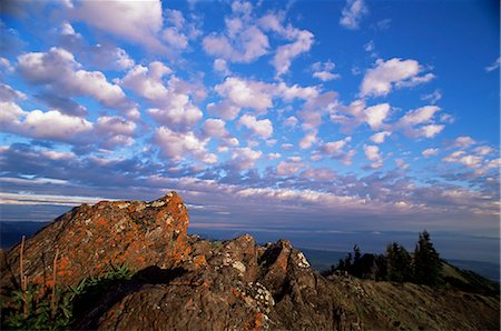 simsearch:841-02920647,k - Rocks covered with lichen, Deer Park, Olympic National Park, UNESCO World Heritage Site, Washington State, United States of America (U.S.A.), North America Foto de stock - Con derechos protegidos, Código: 841-02718501