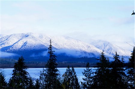 simsearch:841-02704321,k - Lake Quinault, Olympic National Park, UNESCO World Heritage Site, Washington State, United States of America (U.S.A.), North America Foto de stock - Direito Controlado, Número: 841-02718510