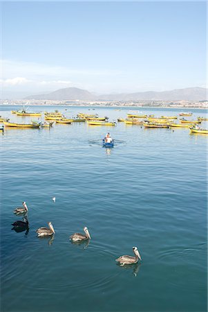 simsearch:841-03060687,k - Two men bring in harvest of the sea, Chimbote, Chile, South America Foto de stock - Con derechos protegidos, Código: 841-02718574