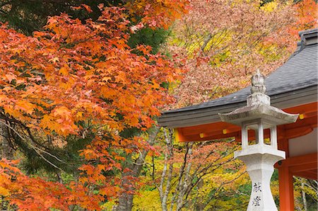 Eireiden Temple, Koya-san, Kansai (Western Province), Honshu, Japan, Asia Stock Photo - Rights-Managed, Code: 841-02718755