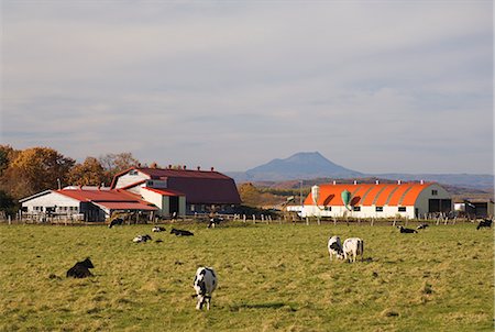 Farm, Hokkaido, Japan, Asia Foto de stock - Con derechos protegidos, Código: 841-02718762