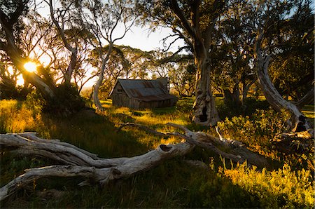 simsearch:841-02718948,k - Wallace's Hut, Bogong High Plains, Apline National Park, Victoria, Australia, Pacific Stock Photo - Rights-Managed, Code: 841-02718845