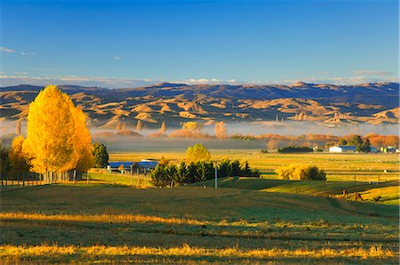 Farmland, Alexandra, Central Otago, South Island, New Zealand, Pacific Foto de stock - Con derechos protegidos, Código: 841-02719194