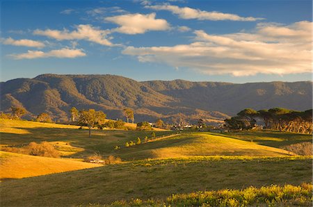 pictures beautiful places australia - Pasture, Bega, New South Wales, Australia, Pacific Stock Photo - Rights-Managed, Code: 841-02719240