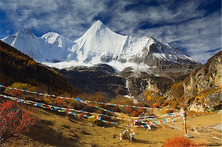 sichuan fall - Yangmaiyong, Yading Nature Reserve, Sichuan Province, China, Asia Stock Photo - Rights-Managed, Code: 841-02719412