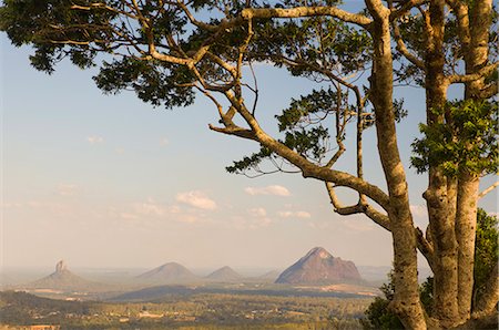 simsearch:841-02719507,k - Glass House Mountains, Queensland, Australie, Pacifique Photographie de stock - Rights-Managed, Code: 841-02719512