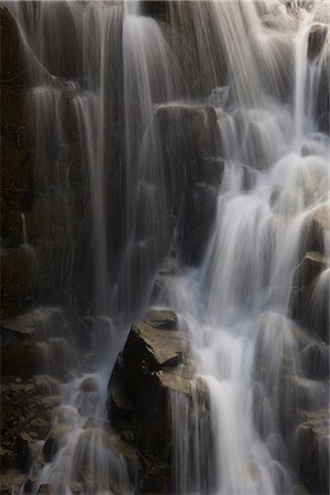 rainier national park - Edith Falls, Mount Rainier Nationalpark, Washington, Vereinigte Staaten von Amerika, Nordamerika Stockbilder - Lizenzpflichtiges, Bildnummer: 841-02719587
