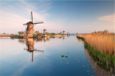 plants in the netherlands - Windmills at Kinderdijk, near Rotterdam, Holland, The Netherlands Stock Photo - Rights-Managed, Code: 841-02719835