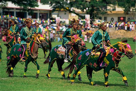 simsearch:841-02925614,k - Bajau horsemen at the annual festival of horsemanship in Kota Belud in November, in Sabah, Malaysia, Borneo, Southeast Asia, Asia Foto de stock - Con derechos protegidos, Código: 841-02710007