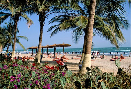 Palm trees and tourists, Bakau beach, the Gambia, West Africa, Africa Foto de stock - Direito Controlado, Número: 841-02710009