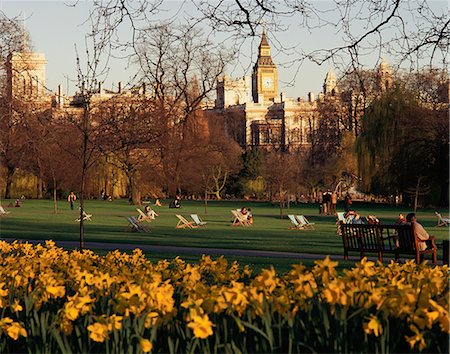 simsearch:841-05795485,k - Daffodils in St. James's Park, with Big Ben behind, London, England, United Kingdom, Europe Foto de stock - Con derechos protegidos, Código: 841-02710182