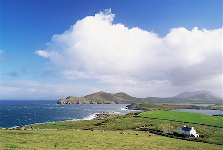 Valentia Island, County Kerry, Munster, Eire (Republic of Ireland), Europe Fotografie stock - Rights-Managed, Codice: 841-02710353