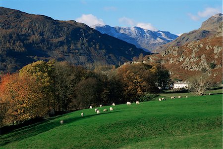 simsearch:841-02943873,k - Chapel Stile, Great Langdale, Lake District National Park, Cumbria, England, United Kingdom, Europe Foto de stock - Con derechos protegidos, Código: 841-02710367