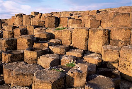 simsearch:841-02920566,k - The Giants Causeway, UNESCO World Heritage Site, Co. Antrim, Ulster, Northern Ireland, United Kingdom, Europe Stock Photo - Rights-Managed, Code: 841-02710414