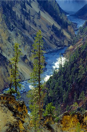 Grand Canyon, Yellowstone National Park, UNESCO World Heritage Site, Wyoming, United States of America (U.S.A.), North America Stock Photo - Rights-Managed, Code: 841-02710547