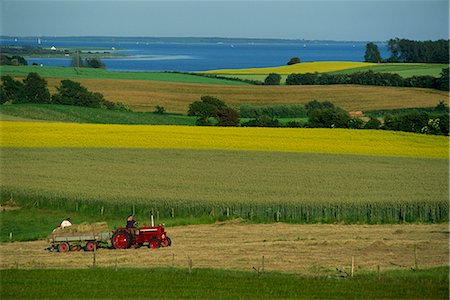 fun - Tractor in field at harvest time, east of Faborg, Funen Island, Denmark, Scandinavia, Europe Foto de stock - Con derechos protegidos, Código: 841-02710937