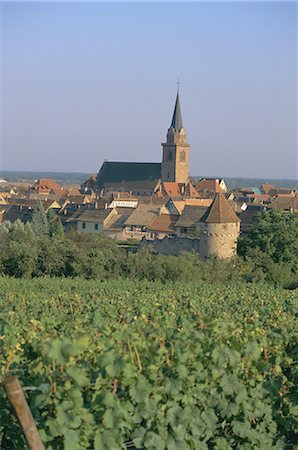 Bergheim and vineyards, Alsace, France, Europe Stock Photo - Rights-Managed, Code: 841-02711131