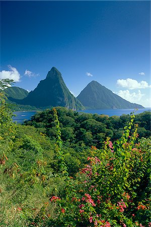 saint lucia pitons - The Pitons, St.Lucia, Caribbean Foto de stock - Con derechos protegidos, Código: 841-02711265