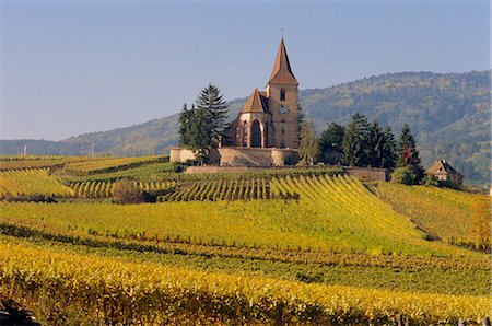 Church in vineyards, Hunawihr, Alsace, France, Europe Foto de stock - Con derechos protegidos, Código: 841-02711307