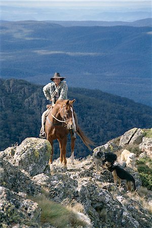 simsearch:841-02711498,k - Man on horse with dogs, 'the man from Snowy River', Victoria, Australia, Pacific Foto de stock - Con derechos protegidos, Código: 841-02711497