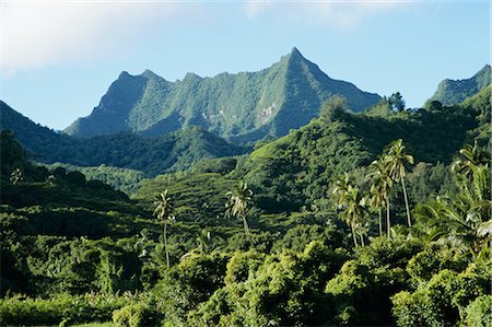 rarotonga - Dense forests and mountain ppeaks, Rarotonga, Cook Islands, Polynesia, South Pacific islands, Pacific Foto de stock - Con derechos protegidos, Código: 841-02711671