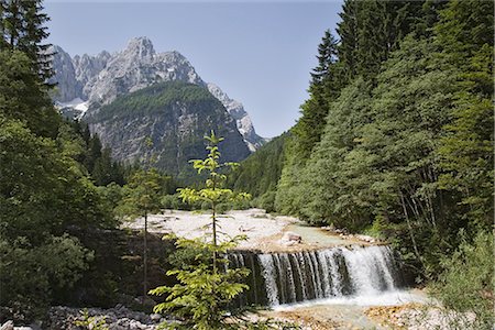 pesca mediante encañizadas - Waterfall over weir on River Velika Pisnca with crystal clear water, Prisank mountain, Triglav National Park, Julian Alps, Kranjska Gora, Dolina, Slovenia, Europe Foto de stock - Con derechos protegidos, Código: 841-02711794