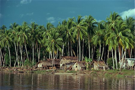 A riverside village beneath palm trees in the Gulf Province of Papua New Guinea, Pacific Islands, Pacific Stock Photo - Rights-Managed, Code: 841-02711913