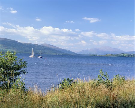 strathclyde - Loch Lomond, Strathclyde, Scotland, United Kingdom, Europe Foto de stock - Con derechos protegidos, Código: 841-02711961