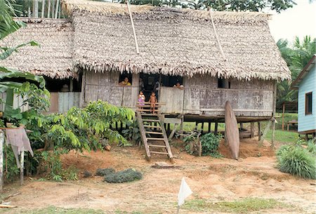 Thatched homes along the river, Javari River, Amazon basin rainforest, Peru, South America Stock Photo - Rights-Managed, Code: 841-02712015