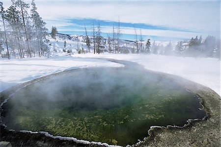 Geysers in Yellowstone Park, West Yellowstone, Montana, United States of America (U.S.A.), North America Stock Photo - Rights-Managed, Code: 841-02712074