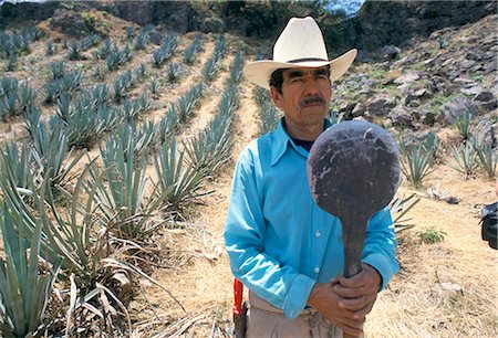 Tequila plantation worker, Mexico, North America Stock Photo - Rights-Managed, Code: 841-02712109