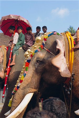 Mahoot and boys on decorated elephants at a roadside festival, Kerala State, India, Asia Stock Photo - Rights-Managed, Code: 841-02712210