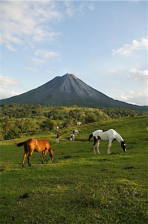 Arenal Volcano from the La Fortuna side, Costa Rica Stock Photo - Rights-Managed, Code: 841-02712389